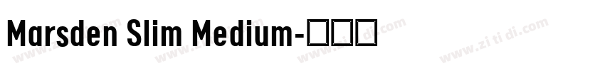Marsden Slim Medium字体转换